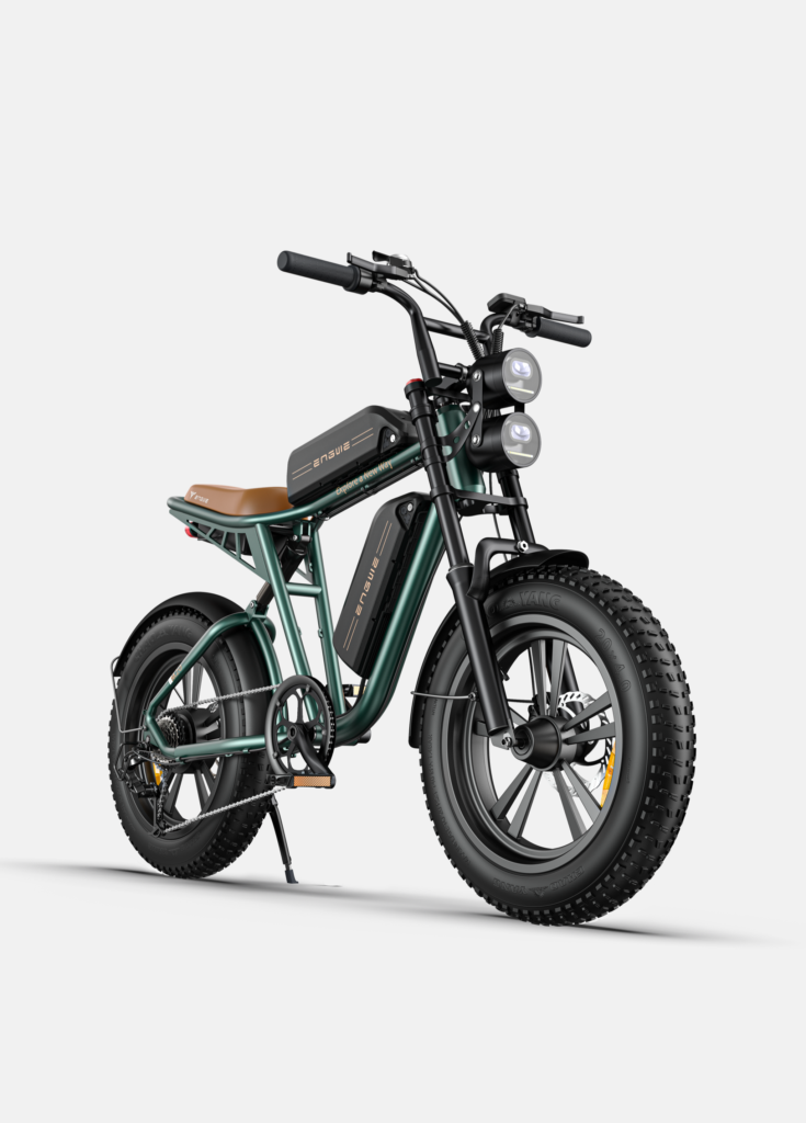 ENGWE M20 fat tire e-bike
